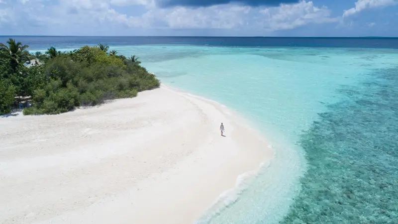 Une plage de sable blanc bordée d'une eau turquoise et d'une végétation luxuriante.