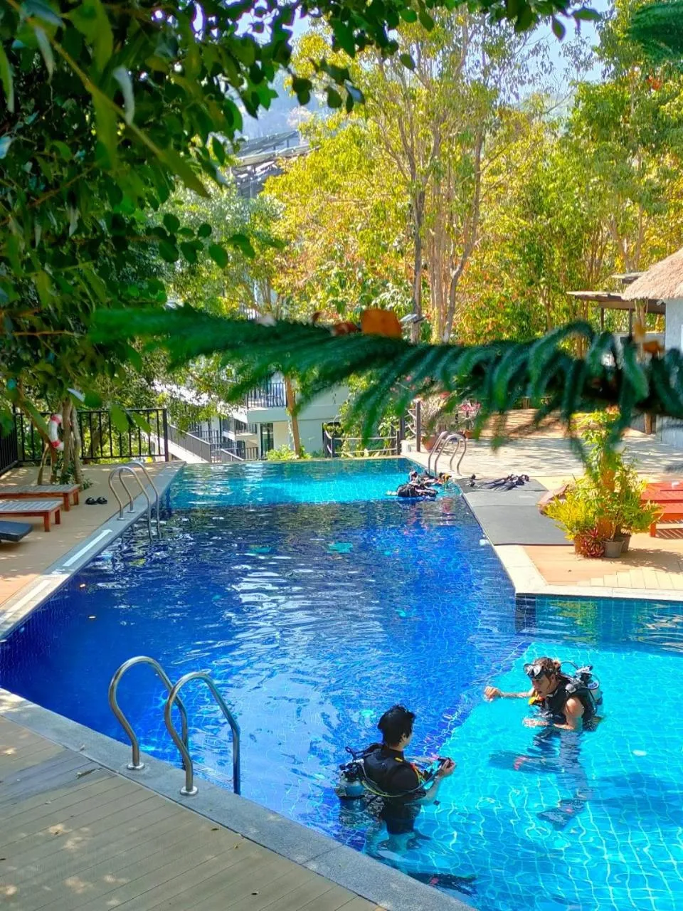 Une piscine bleue bordée d'une terrasse ensoleillée, avec des personnes équipées de matériel de plongée.