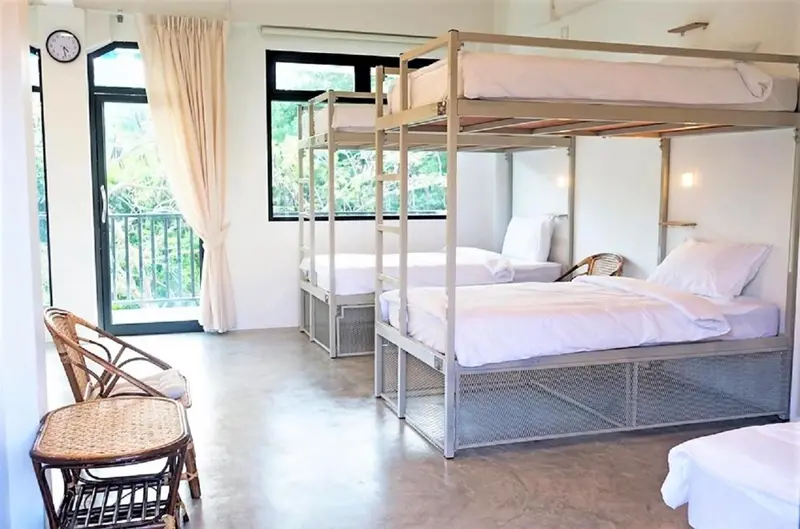 Une chambre avec des lits superposés et une fenêtre ouverte sur la végétation.