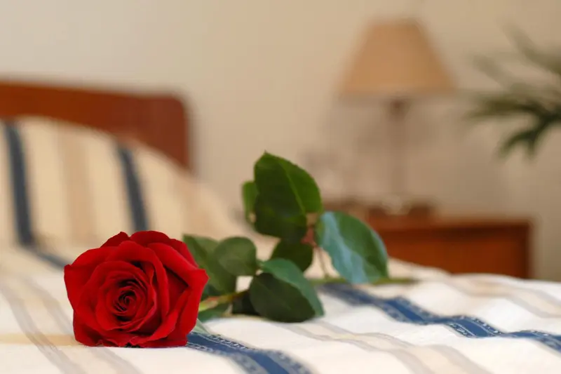 Une rose rouge est posee sur un lit avec un oreiller bleu et blanc.