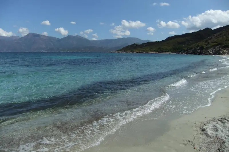 Une plage de sable fin bordée d'une eau turquoise et transparente.