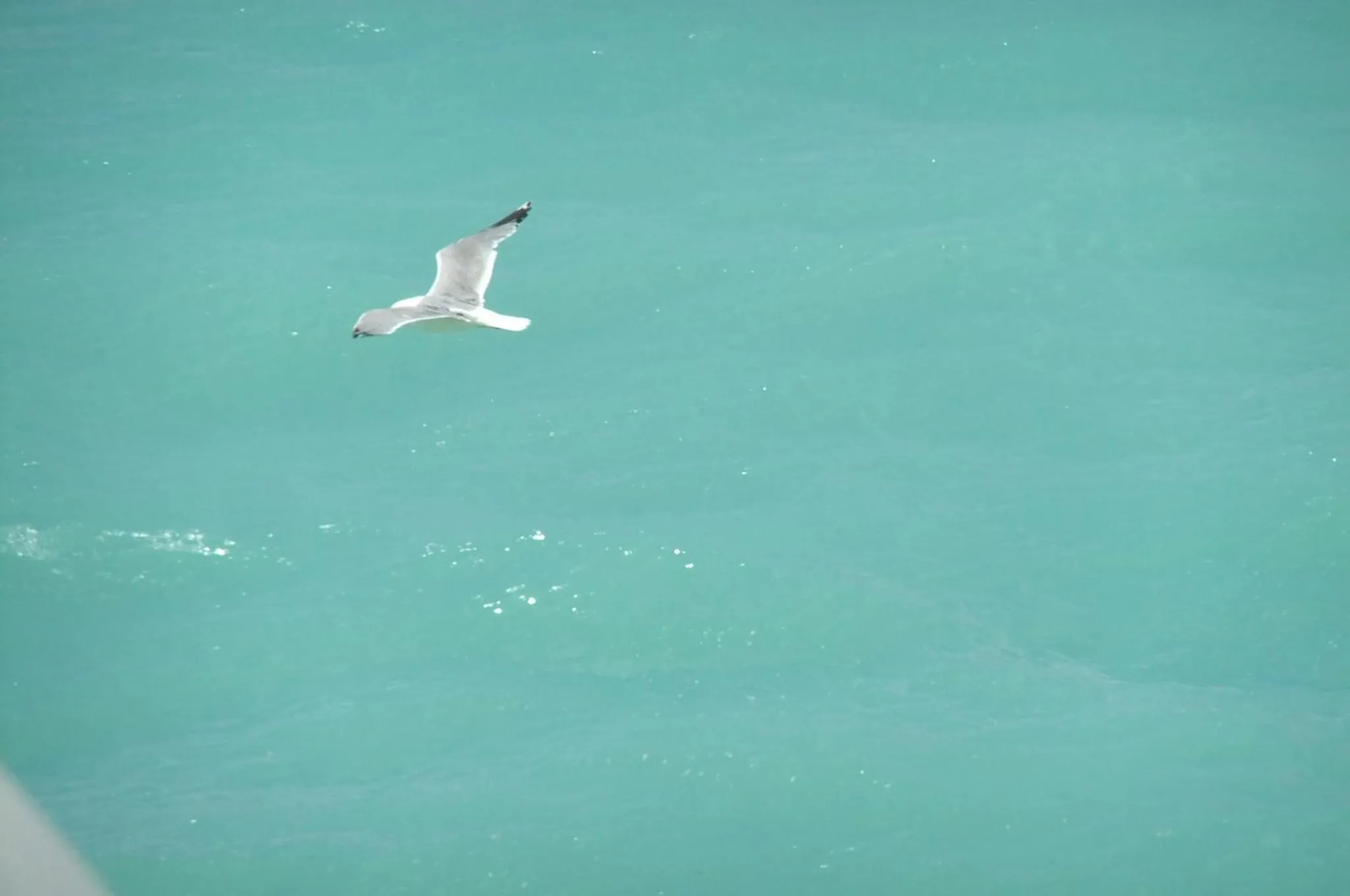 Une personne nage dans une eau turquoise.