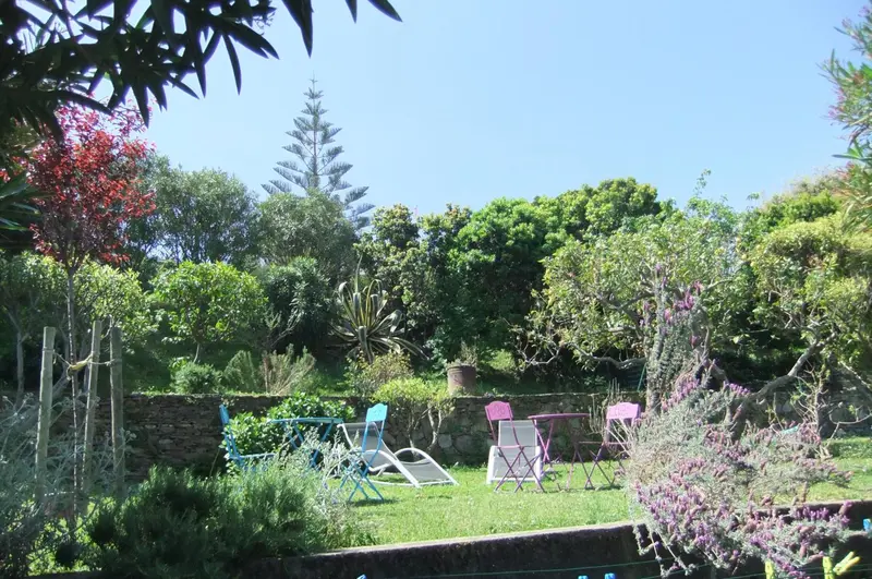 Jardin verdoyant avec quelques tables et chaises colorées.