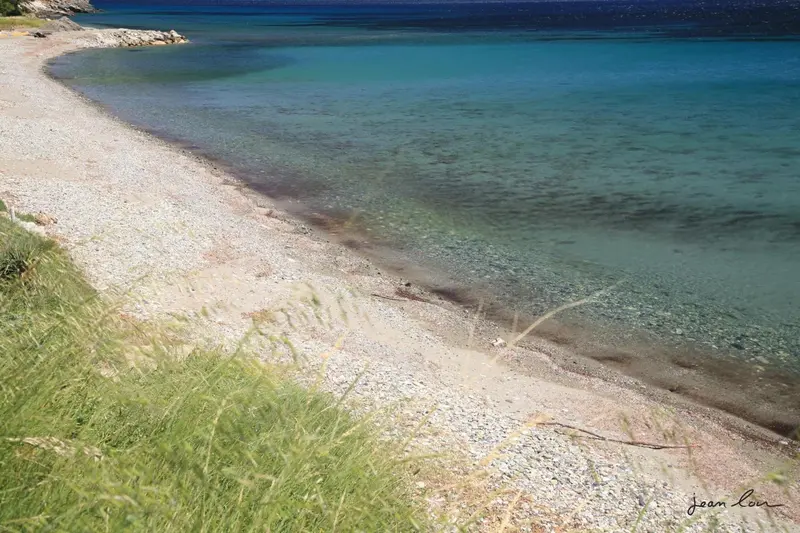 Une plage de galets bordée d'une eau turquoise et d'une végétation verte.
