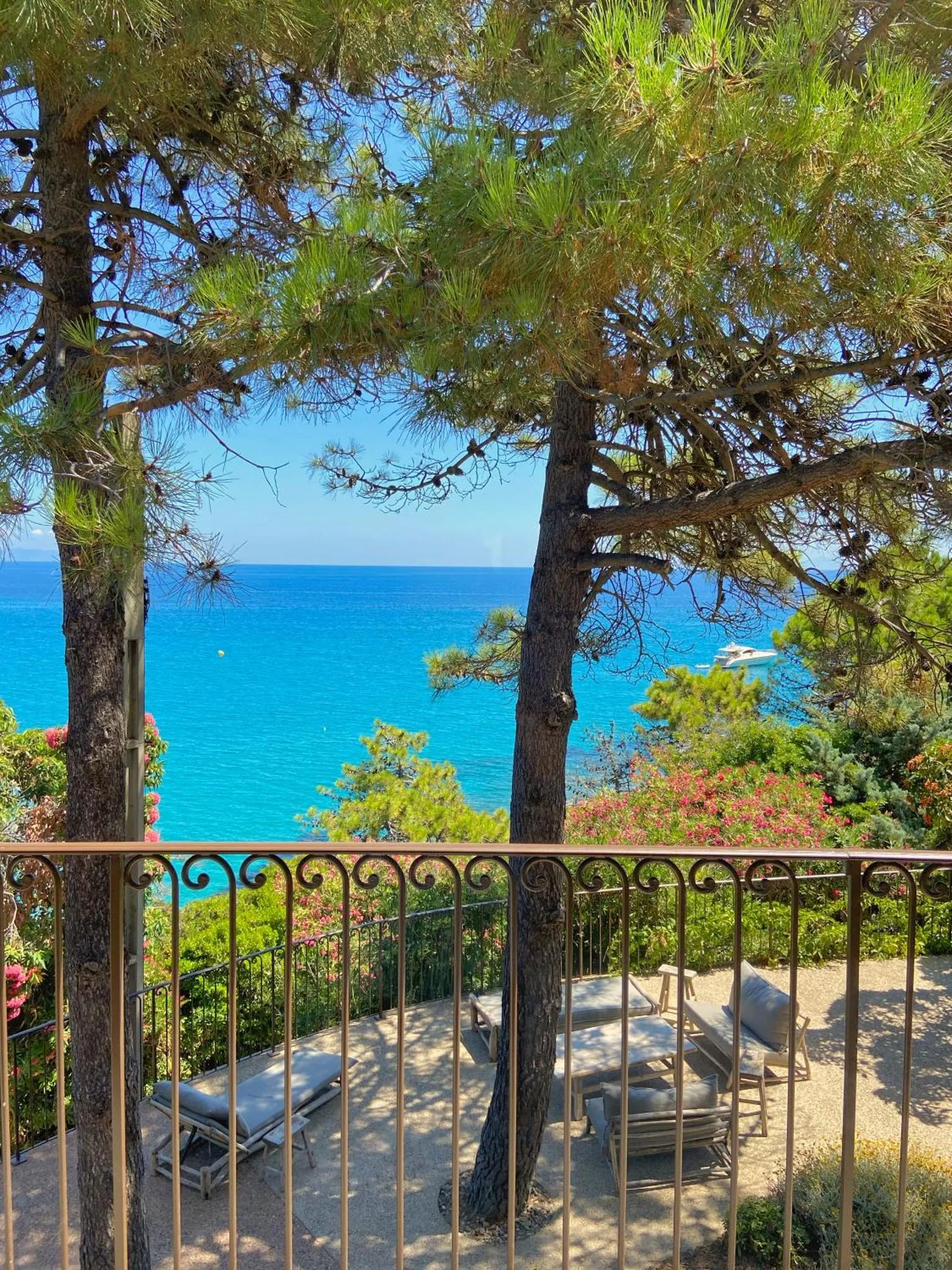 Vue sur la mer depuis une terrasse ombragée par des arbres.