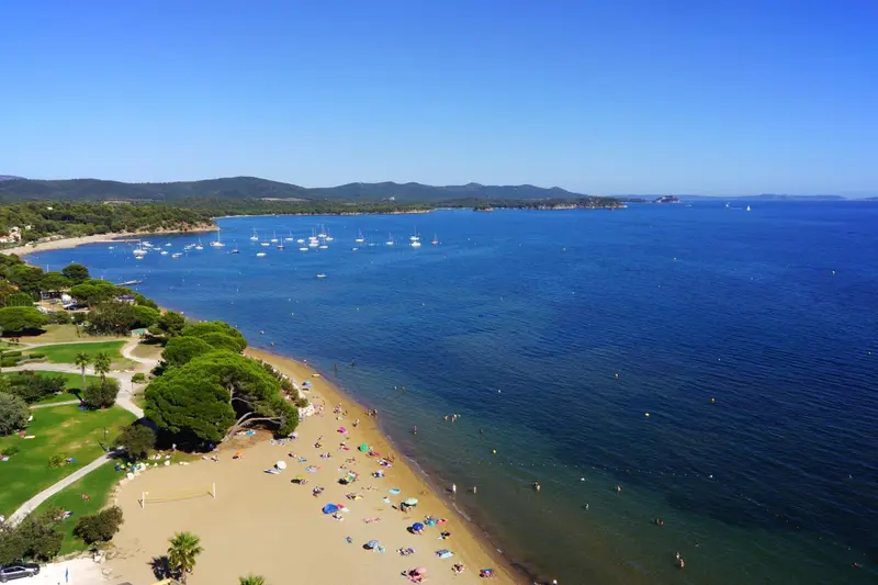 Vue aérienne d'une plage de sable fin bordée de pins et de parasols.