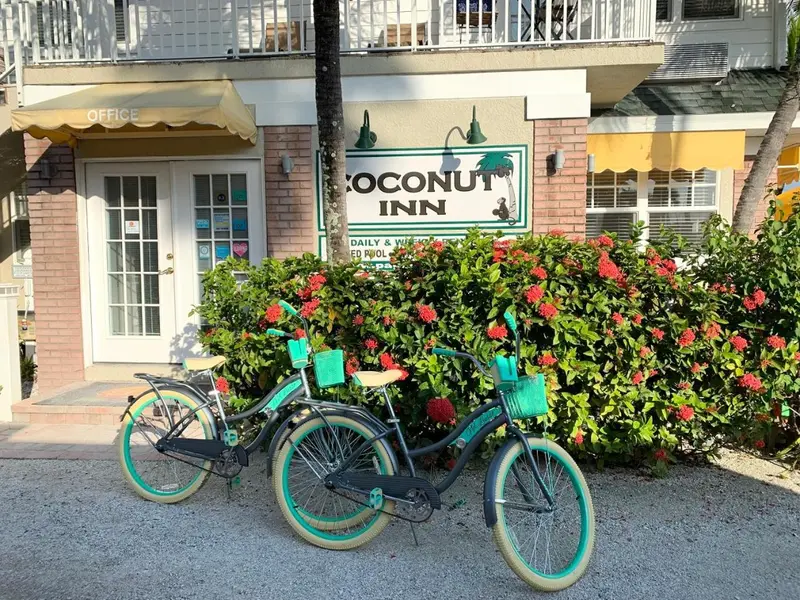 Façade d'un bâtiment avec des vélos turquoise devant des buissons fleuris.