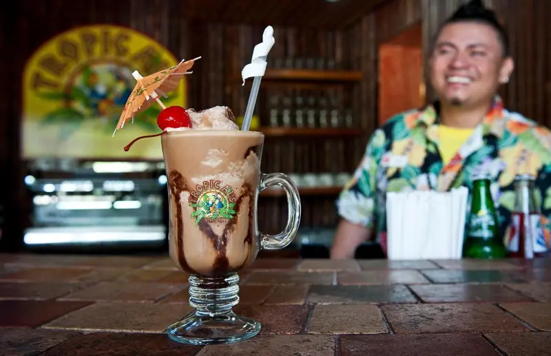 Un cocktail exotique est présenté sur un comptoir de bar.