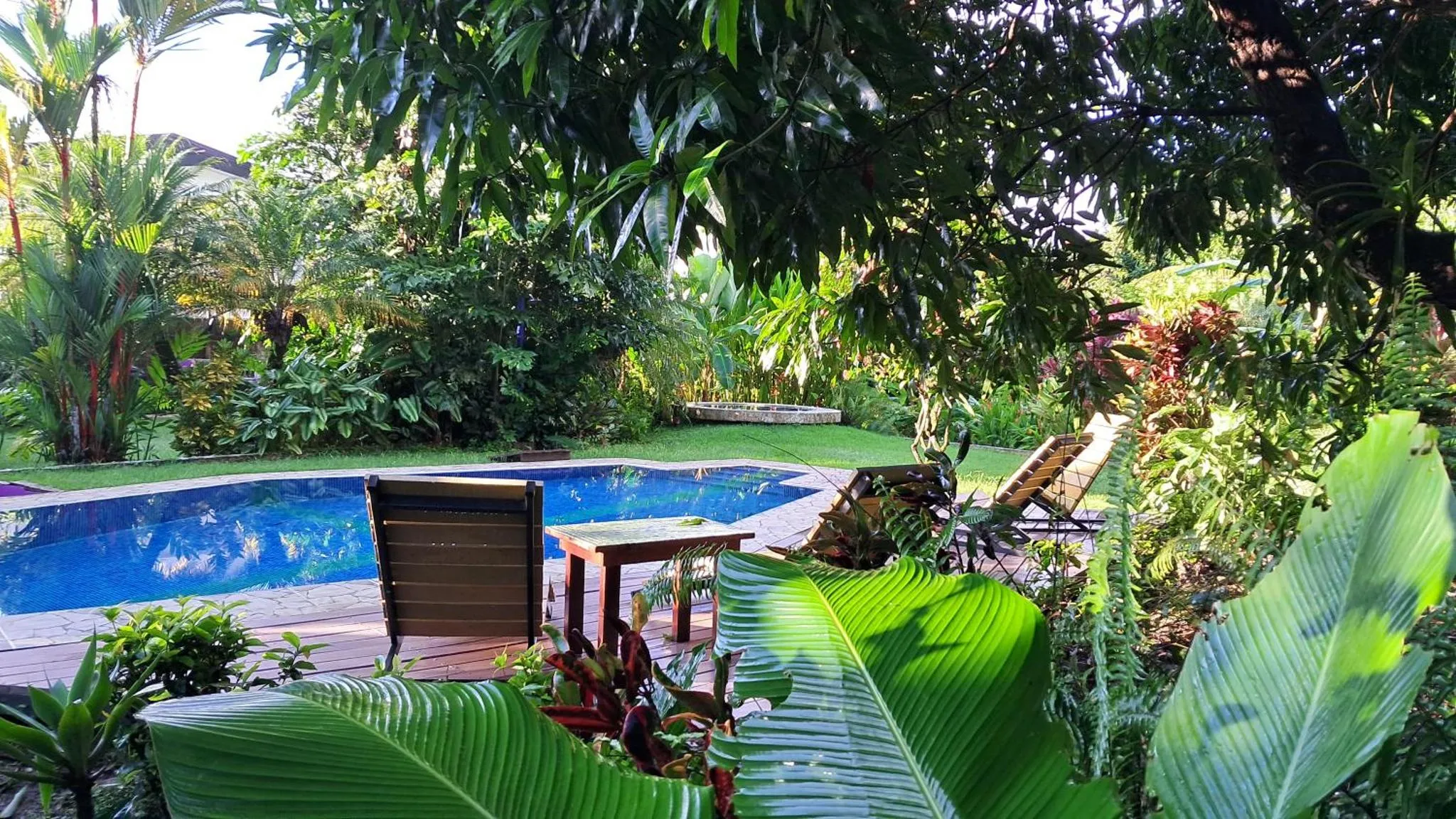 Une piscine rectangulaire bordée d'une terrasse avec des transats et de la végétation luxuriante.