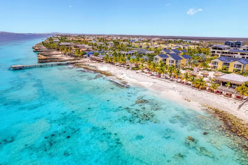 Vue aérienne d'une plage bordée de bâtiments et de palmiers.
