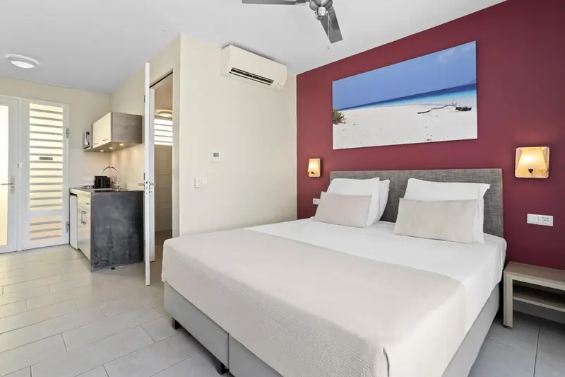 Chambre lumineuse avec un lit double et une kitchenette.