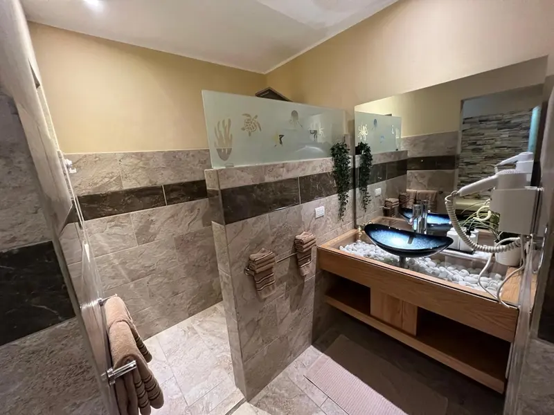 Une salle de bain moderne avec une douche à l'italienne et un lavabo design.