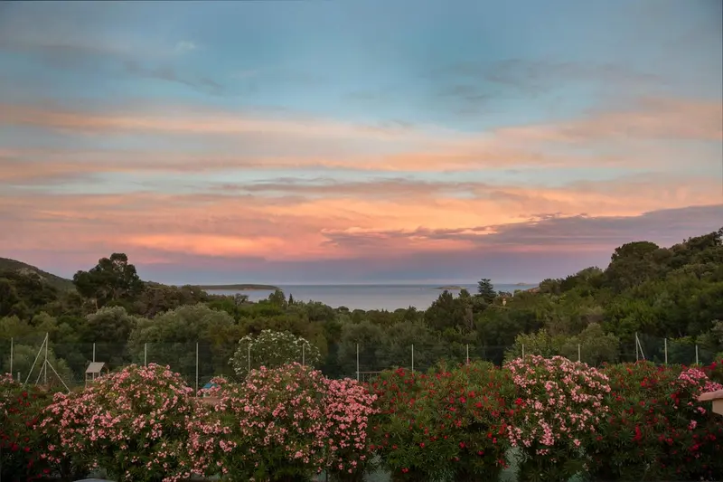 Un ciel coloré au coucher du soleil surplombe une végétation luxuriante et la mer.