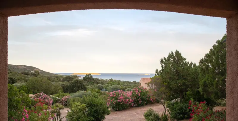 Vue sur la mer et la végétation depuis une ouverture arquée.