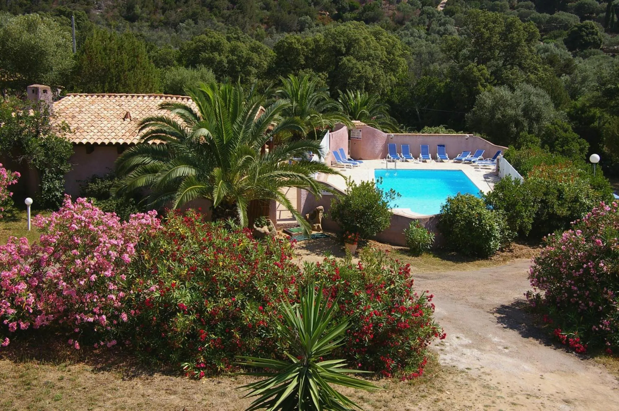 Une piscine bordée de transats se trouve devant un bâtiment rose et des palmiers.