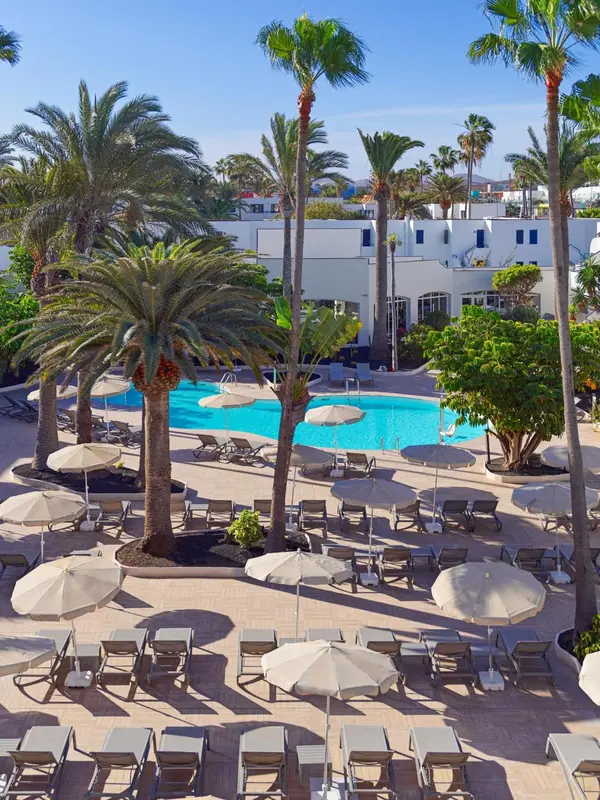 Vue aérienne d'une piscine entourée de transats et de palmiers.
