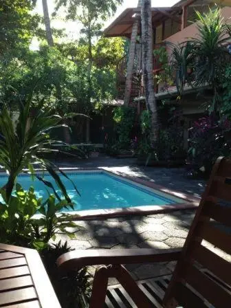 Une piscine rectangulaire entourée de végétation luxuriante et de chaises longues en bois.