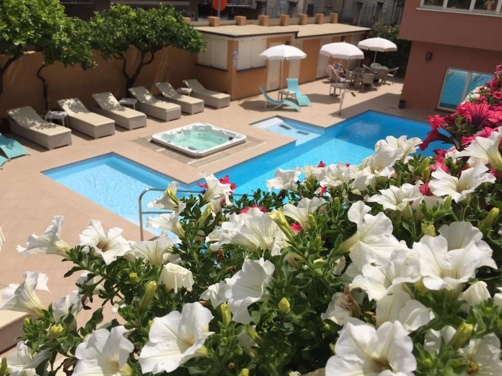 Une piscine rectangulaire avec un jacuzzi et des transats est entourée de fleurs et de végétation.