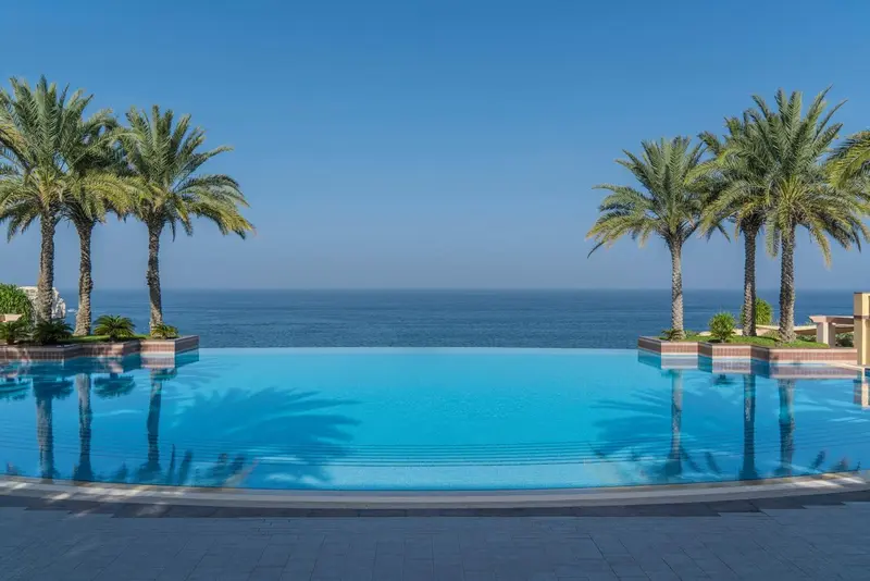 Une piscine à débordement offre une vue sur la mer et les palmiers.