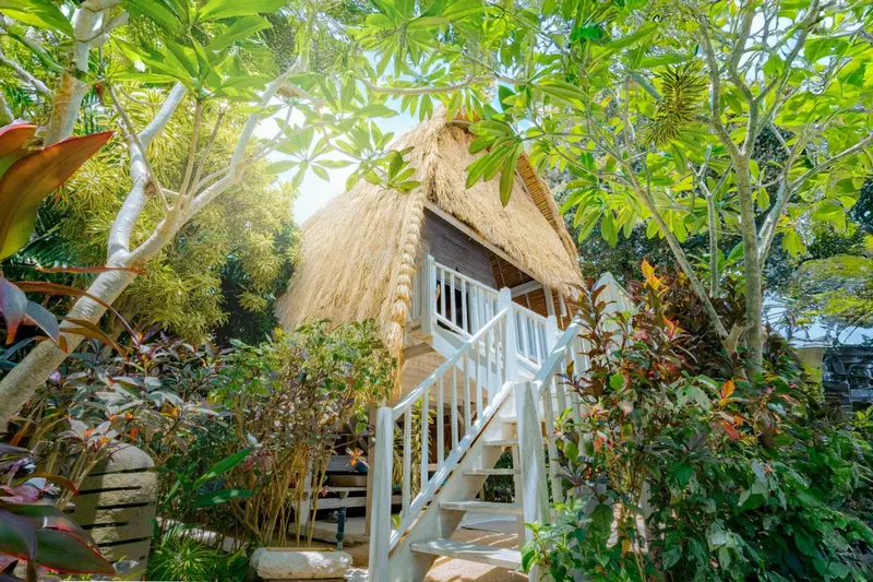 Petite cabane de plage à toit de chaume entourée de végétation tropicale.