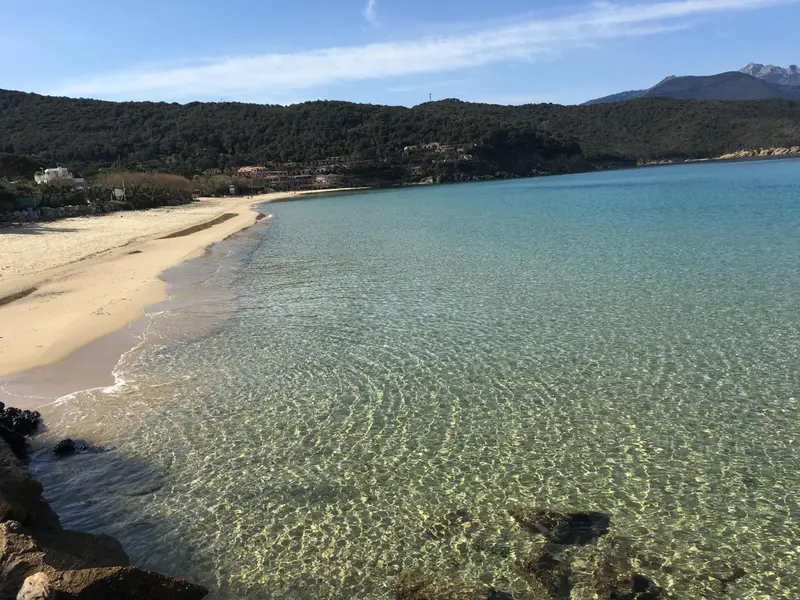 Une plage de sable fin borde une eau turquoise et claire.