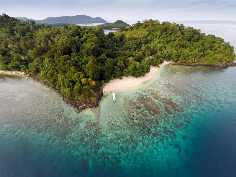 Vue aérienne d'une plage de sable blanc bordée d'une végétation luxuriante et d'un récif corallien turquoise.