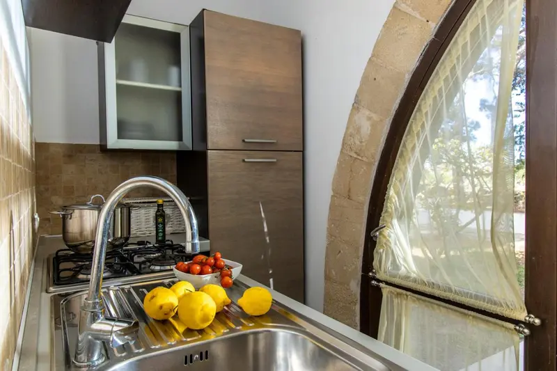 Une cuisine avec un évier en inox, une plaque de cuisson et des fruits frais.