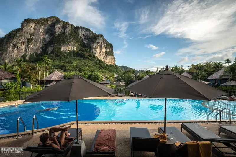 Une piscine bordée de transats offre une vue sur une montagne verdoyante.