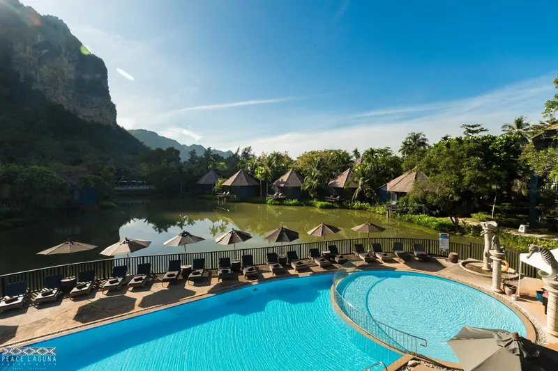 Vue aérienne d'une piscine et d'une terrasse avec des parasols, devant des bungalows.