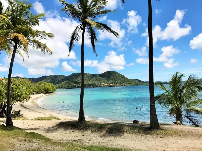 Une plage de sable blanc bordée de palmiers et d'une mer turquoise.