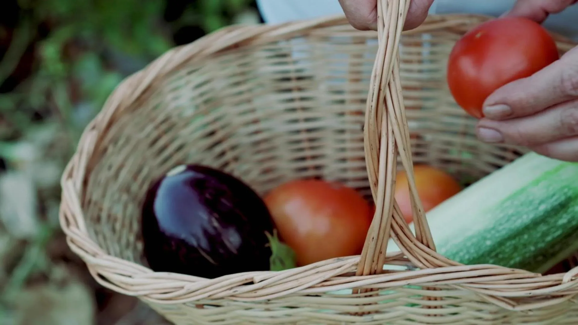 Un panier en osier déborde de légumes frais et colorés.