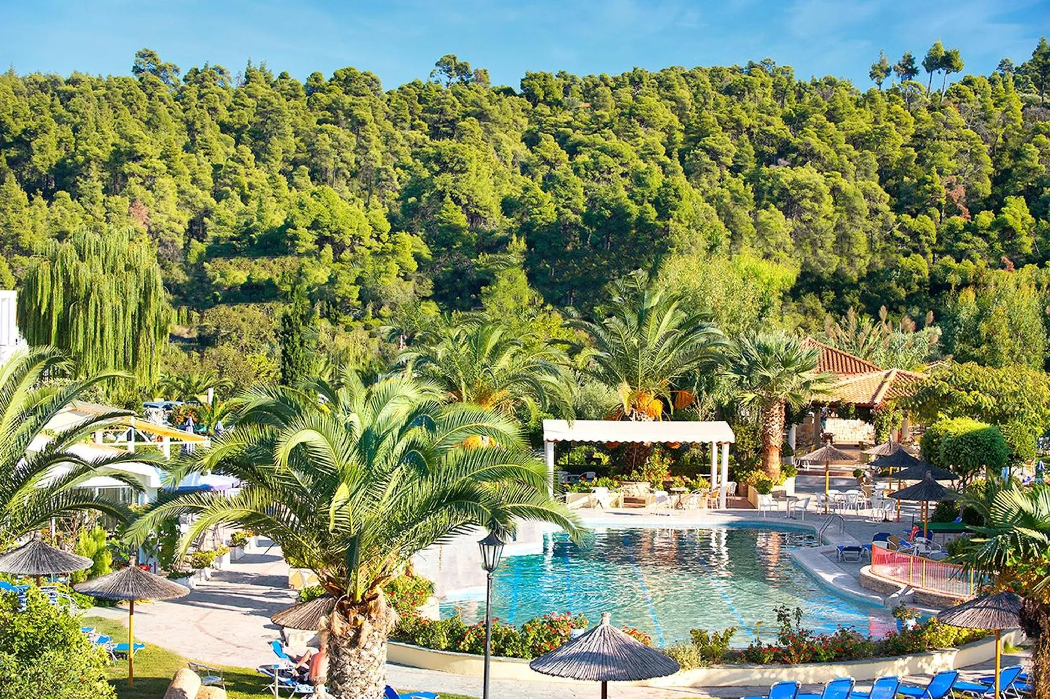 Une piscine bordée de transats et de palmiers sous un ciel bleu.