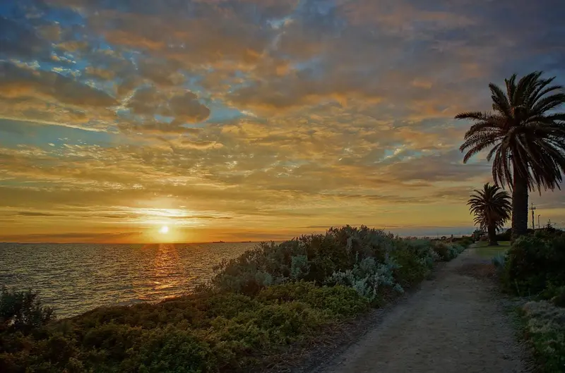 Coucher de soleil sur l'océan avec végétation côtière et chemin.