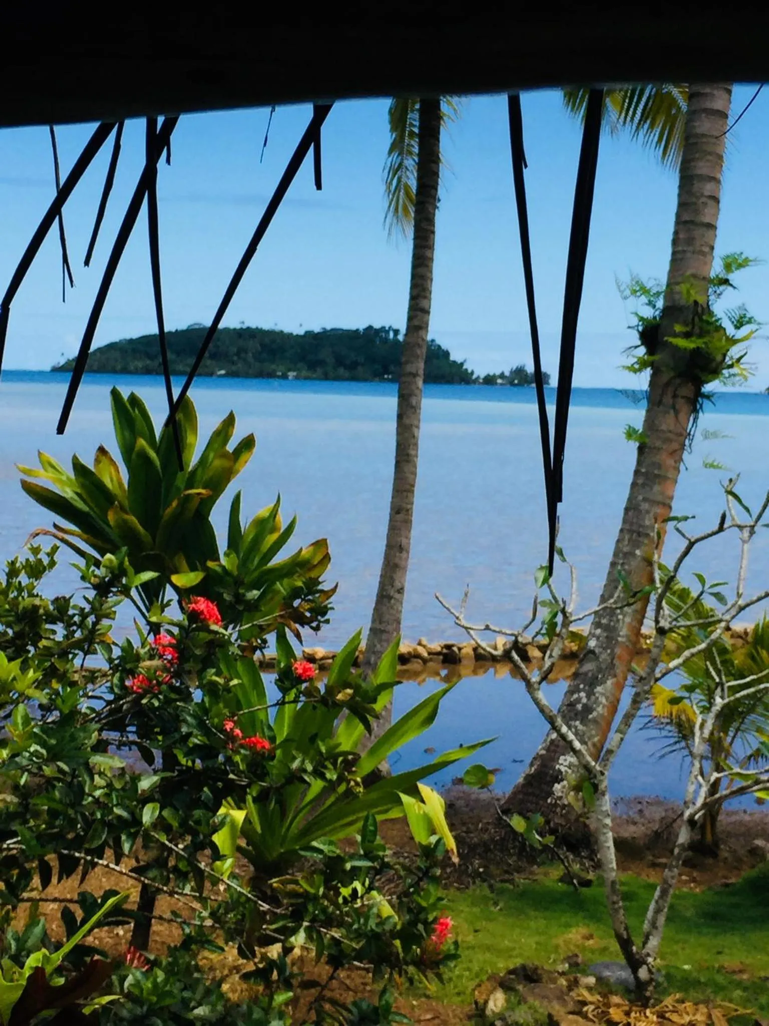 Vue sur la mer et la végétation tropicale depuis un abri.