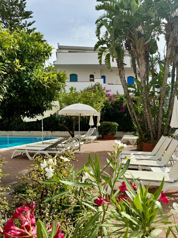 Transats blancs disposés autour d'une piscine ensoleillée, avec une végétation luxuriante et un bâtiment blanc en arrière-plan.