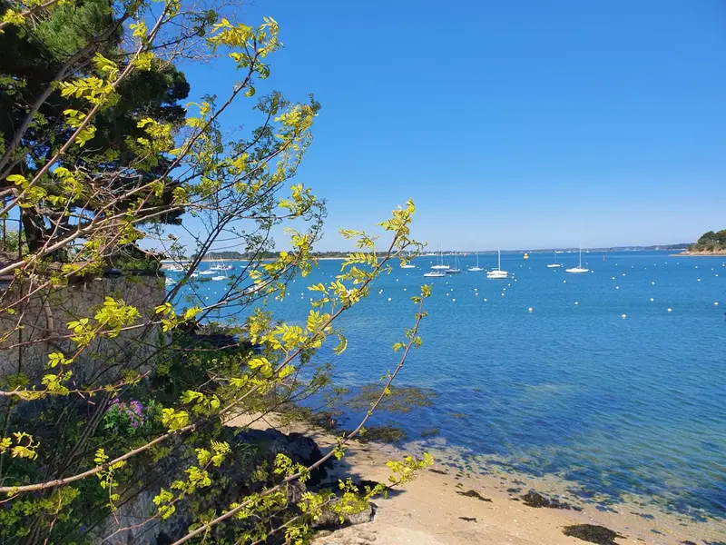 Vue sur une baie ensoleillée avec des bateaux amarrés et une côte rocheuse.