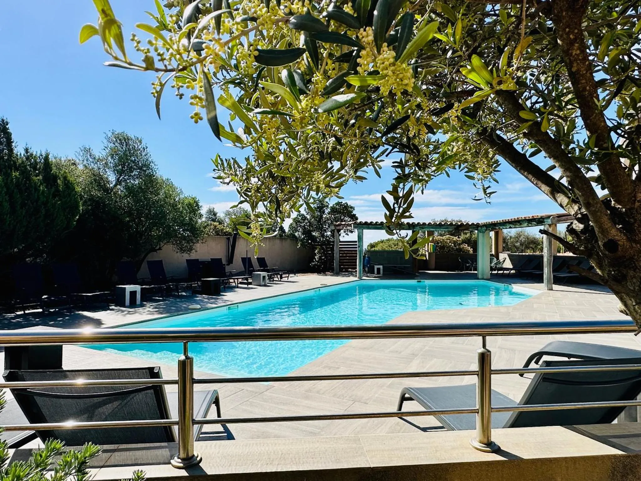Une piscine rectangulaire bordée d'une terrasse ensoleillée.
