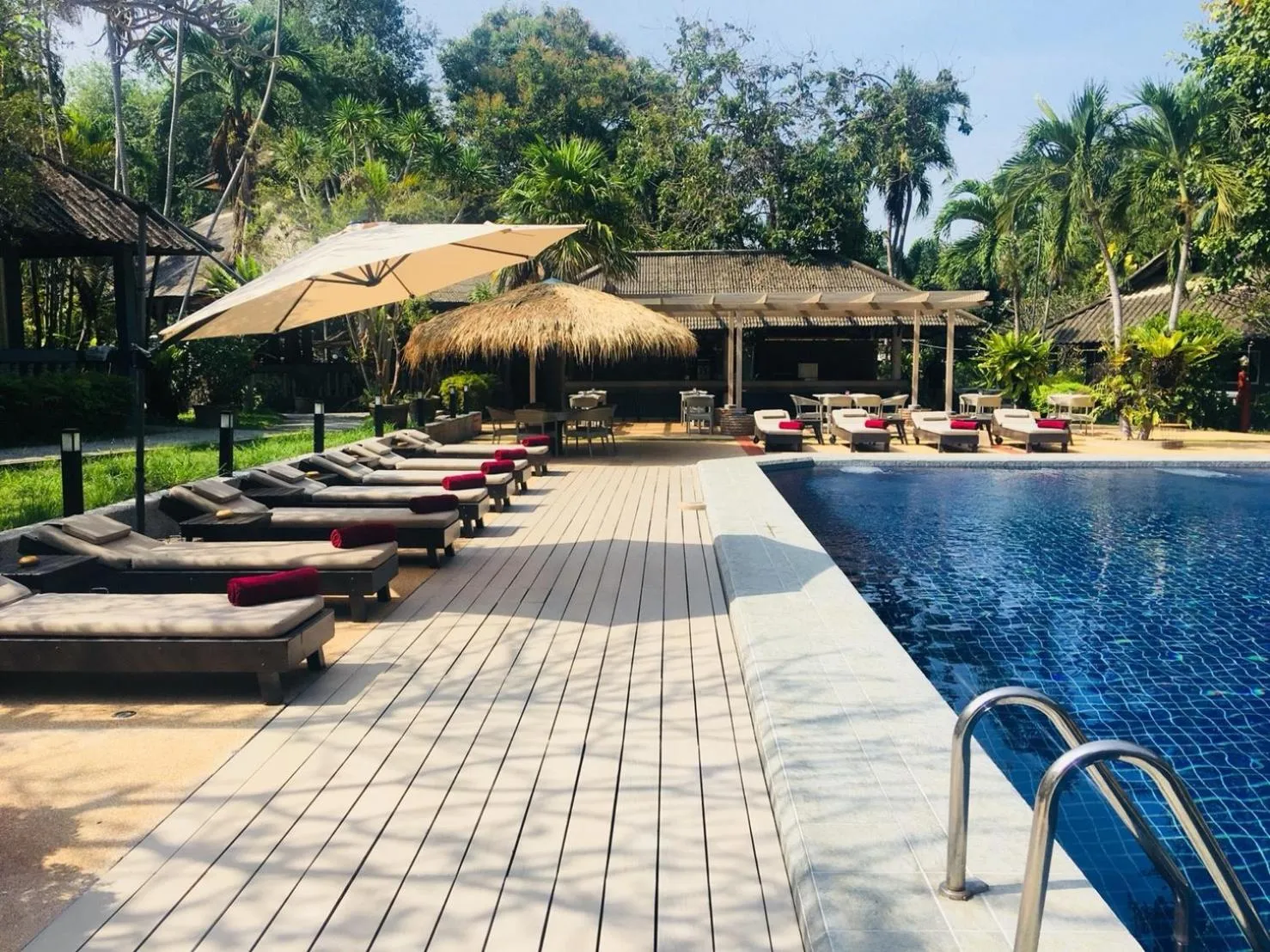 Transats alignés au bord d'une piscine rectangulaire dans un jardin tropical.