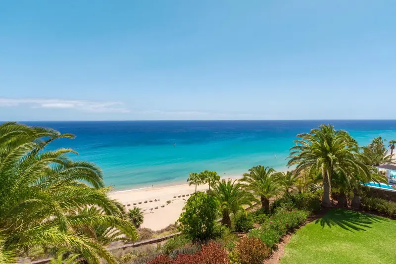Vue aérienne sur une plage de sable fin et une mer turquoise bordée de palmiers.