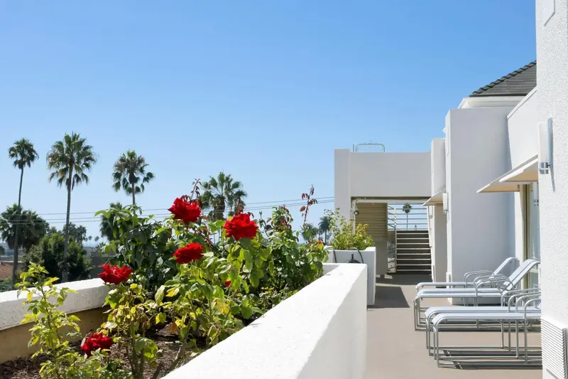Terrasse fleurie avec mobilier de relaxation et vue sur la végétation.