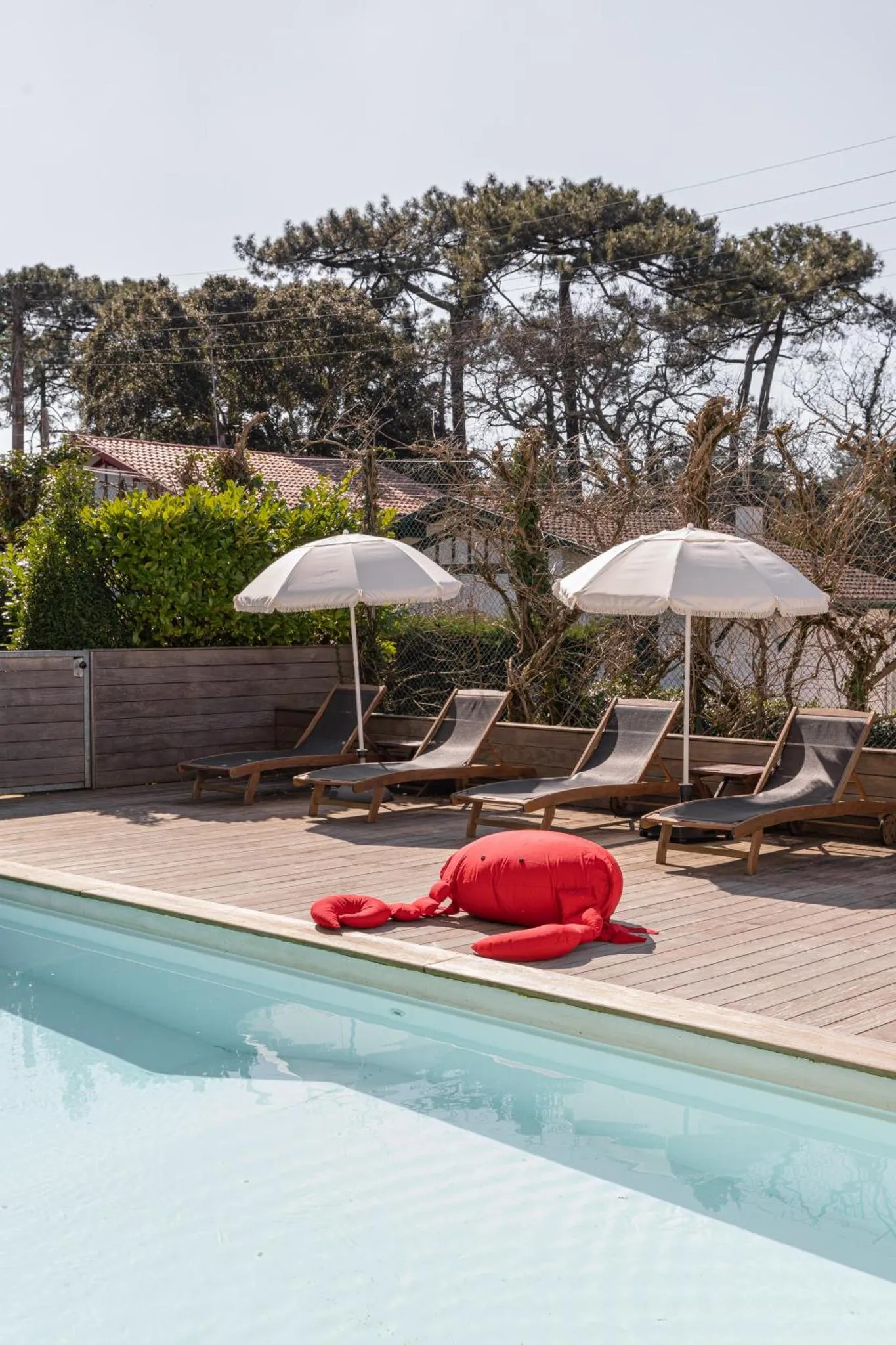 Terrasse avec transats et piscine au bord d'une végétation luxuriante.