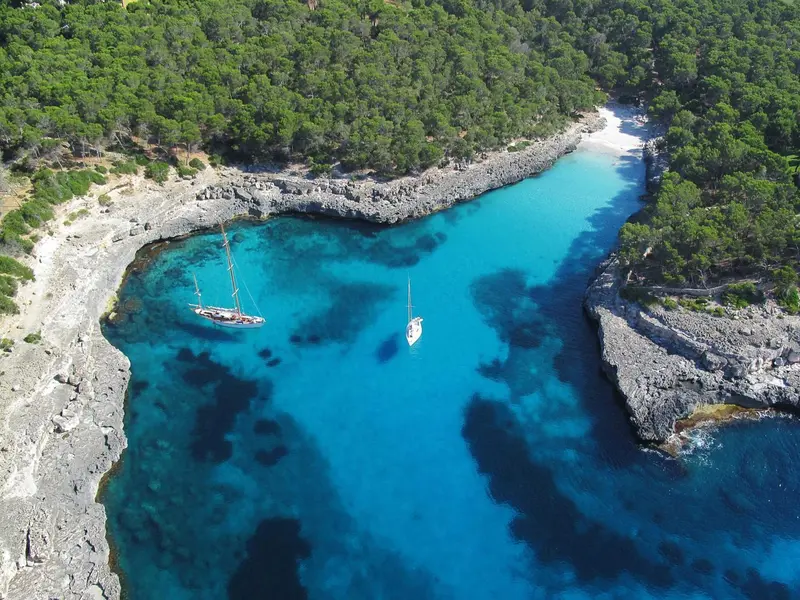 Vue aérienne d'une crique turquoise bordée de rochers et de pins.