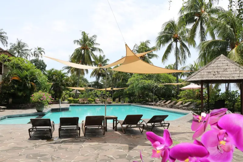 Transats et parasols ombragent une piscine bordée de végétation tropicale.