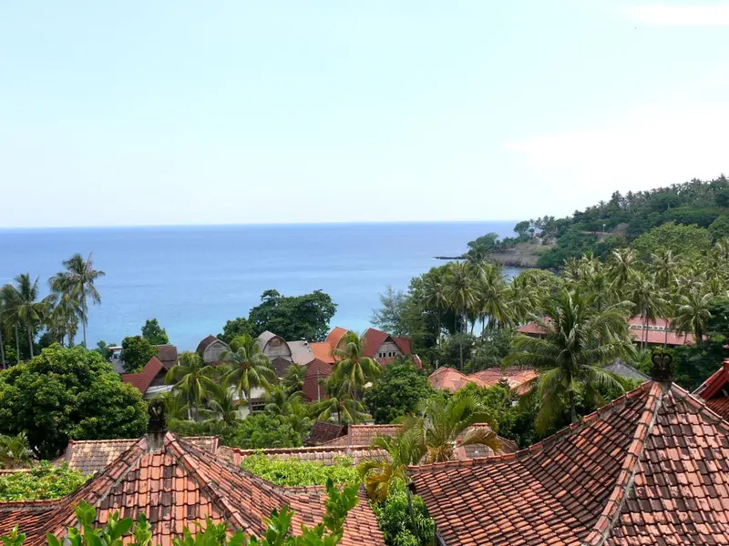 Vue aérienne sur des toits en tuiles rouges et une végétation luxuriante surplombant la mer.