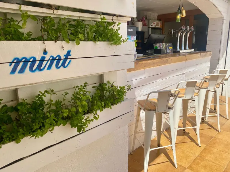 Un comptoir de bar en bois blanc avec des tabourets métalliques est décoré de plantes vertes.