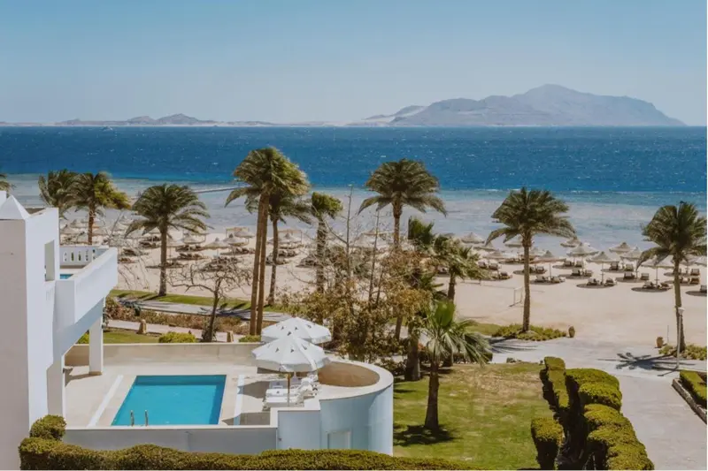 Vue aérienne d'une plage de sable fin bordée de palmiers et d'une piscine.