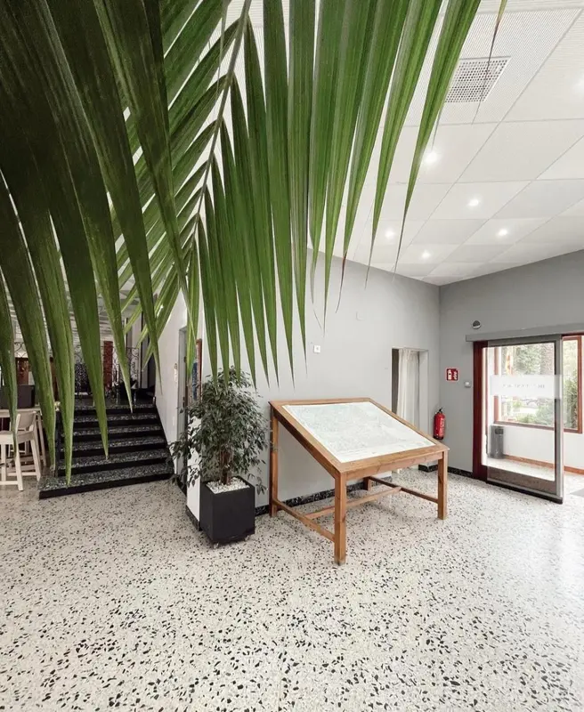 Un hall d'entrée lumineux avec un grand palmier et un bureau.