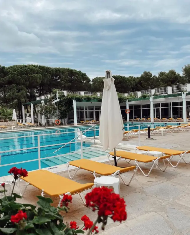 Transats et fleurs ornent le bord d'une piscine ensoleillée.
