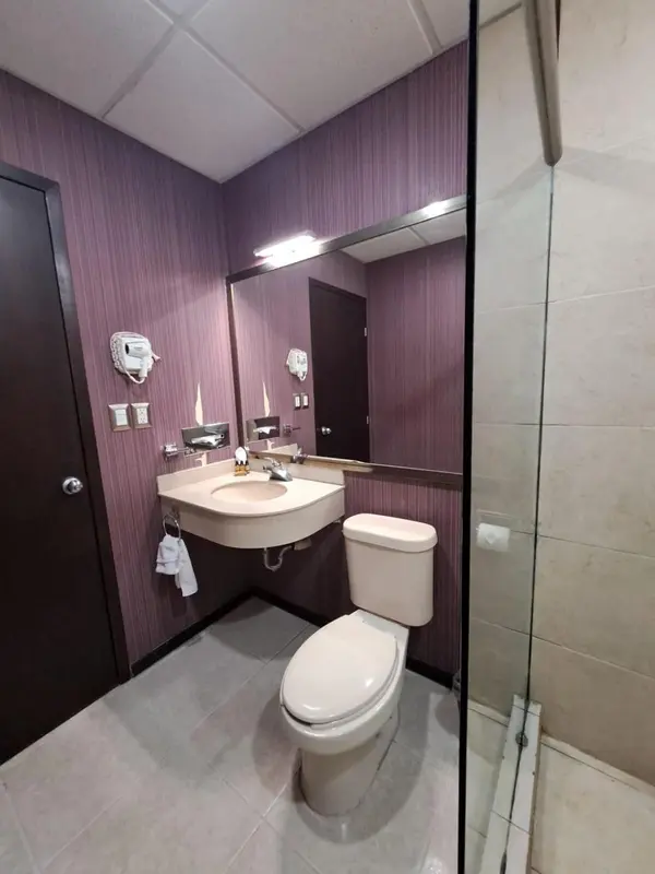Une salle de bain avec lavabo, miroir et toilettes.