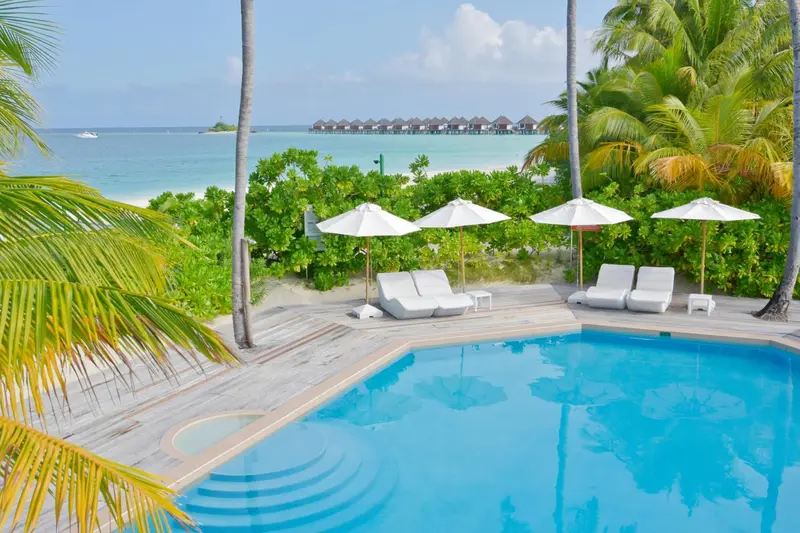 Transats blancs disposés autour d'une piscine turquoise bordée de végétation tropicale.